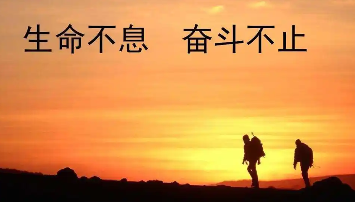 招募站长名汇网创-专注分享网络创业项目落地实操课程 – 全网首发_高质量创业项目输出好项目网